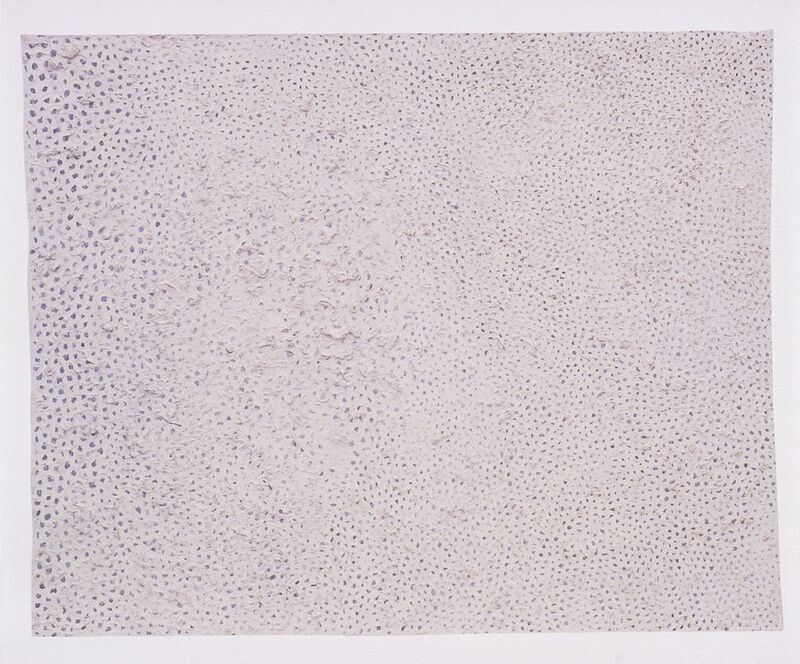 Yayoi Kusama, Accumulation Series: No. F, 1962